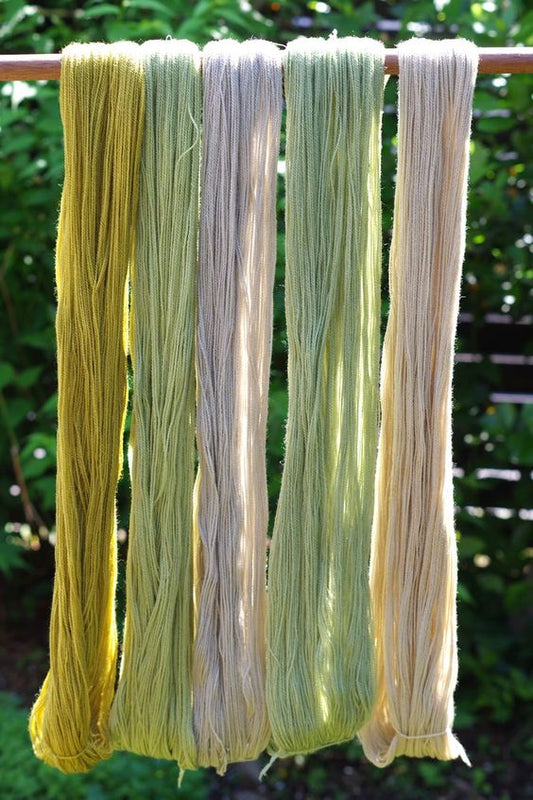 HARD DYED