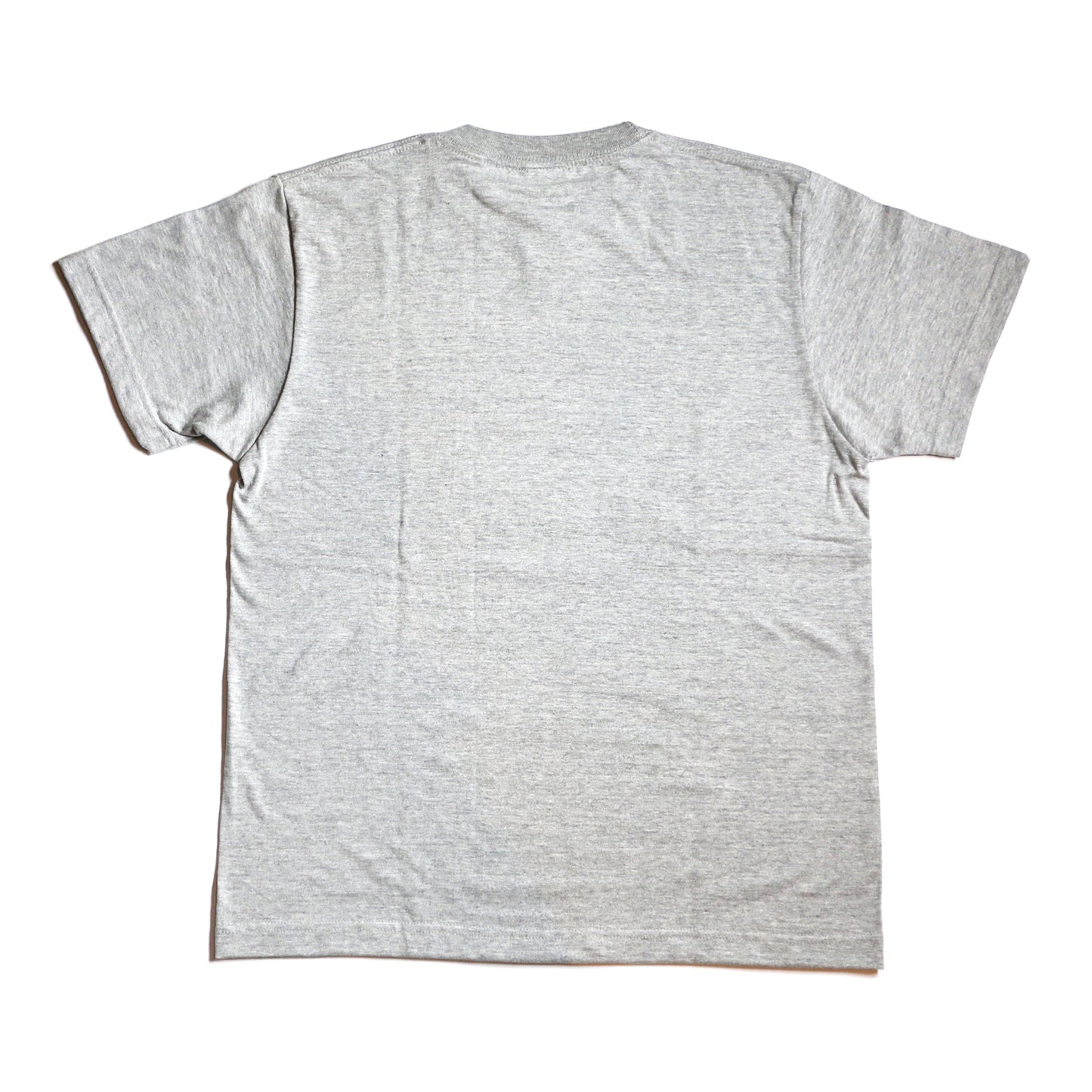 "BAD RELIGION" GURU-T / GRY
