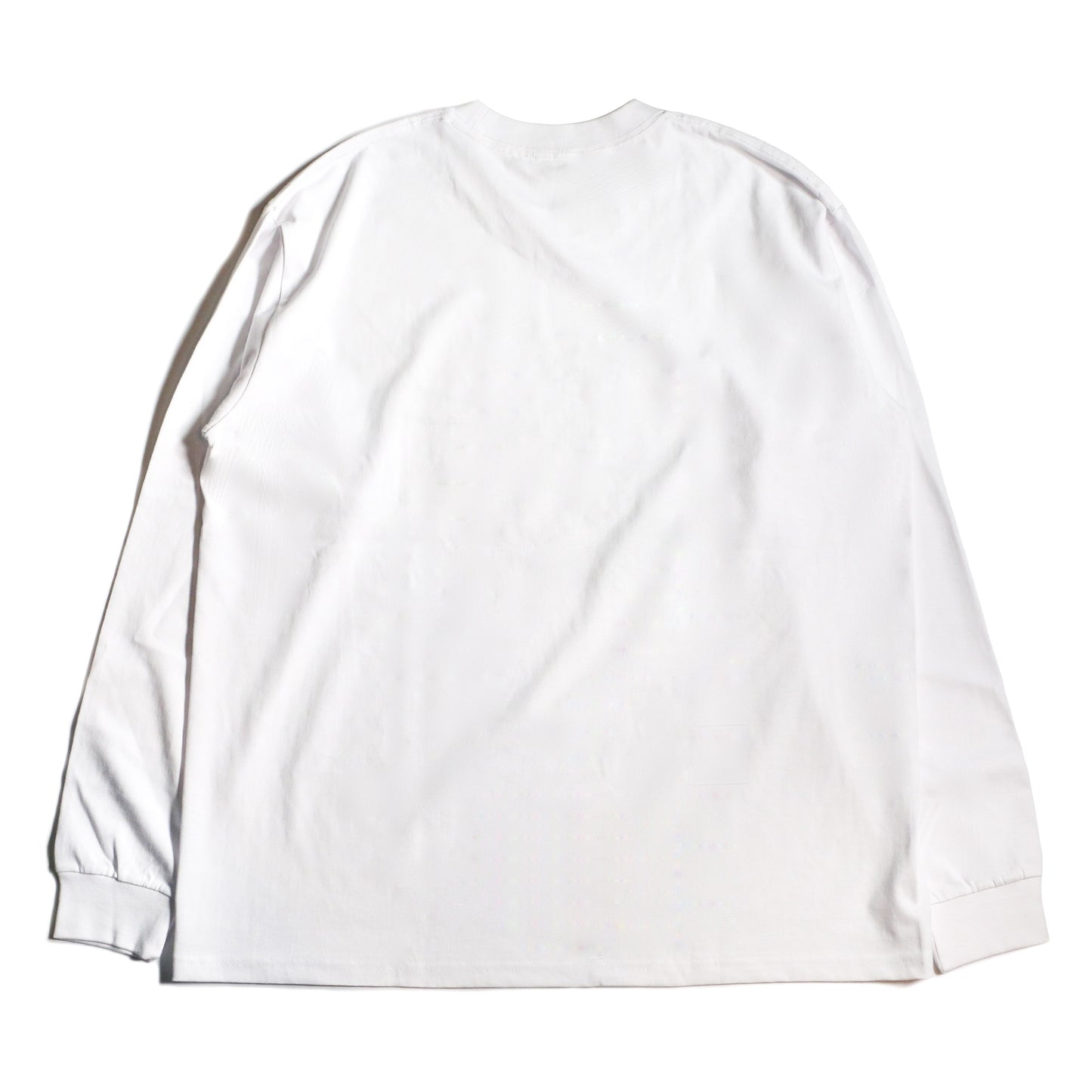 RWCHE DUDE L/S TEE / WHITE